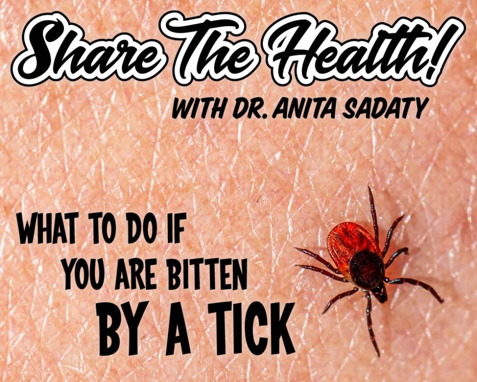 what-to-do-if-you-are-bitten-by-a-tick-dr-sadaty-gynecology